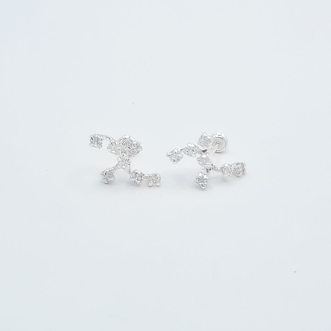 Broquel Zirconia