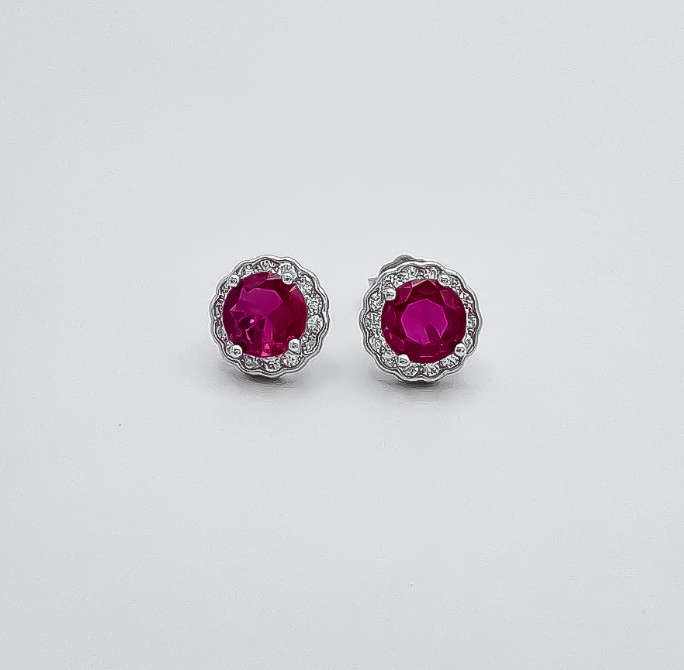 Arete Circulo Fiusha.
